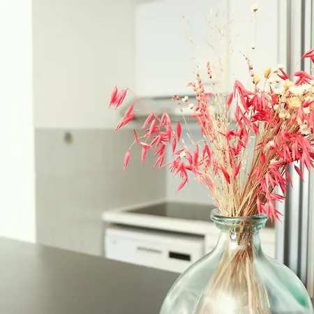 Apartament Spacieux En Plein Coeur De *